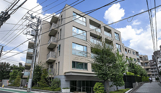 BRANZ HONGO MASAGO