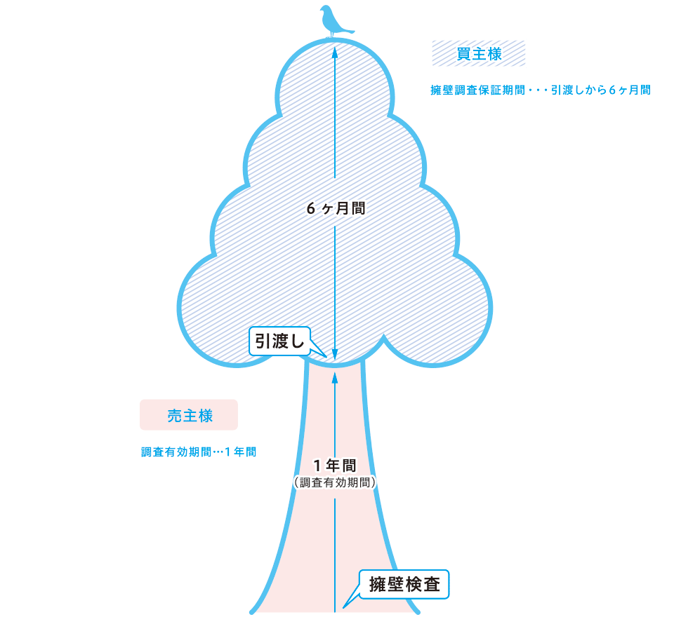 擁壁調査の有効期間と保証期間の図
