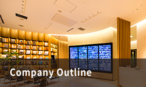 Company Outline