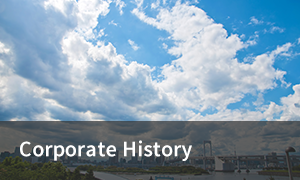 Corporate History