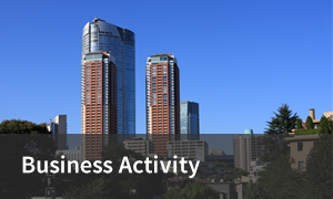 Business Activity