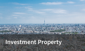 Investment Property