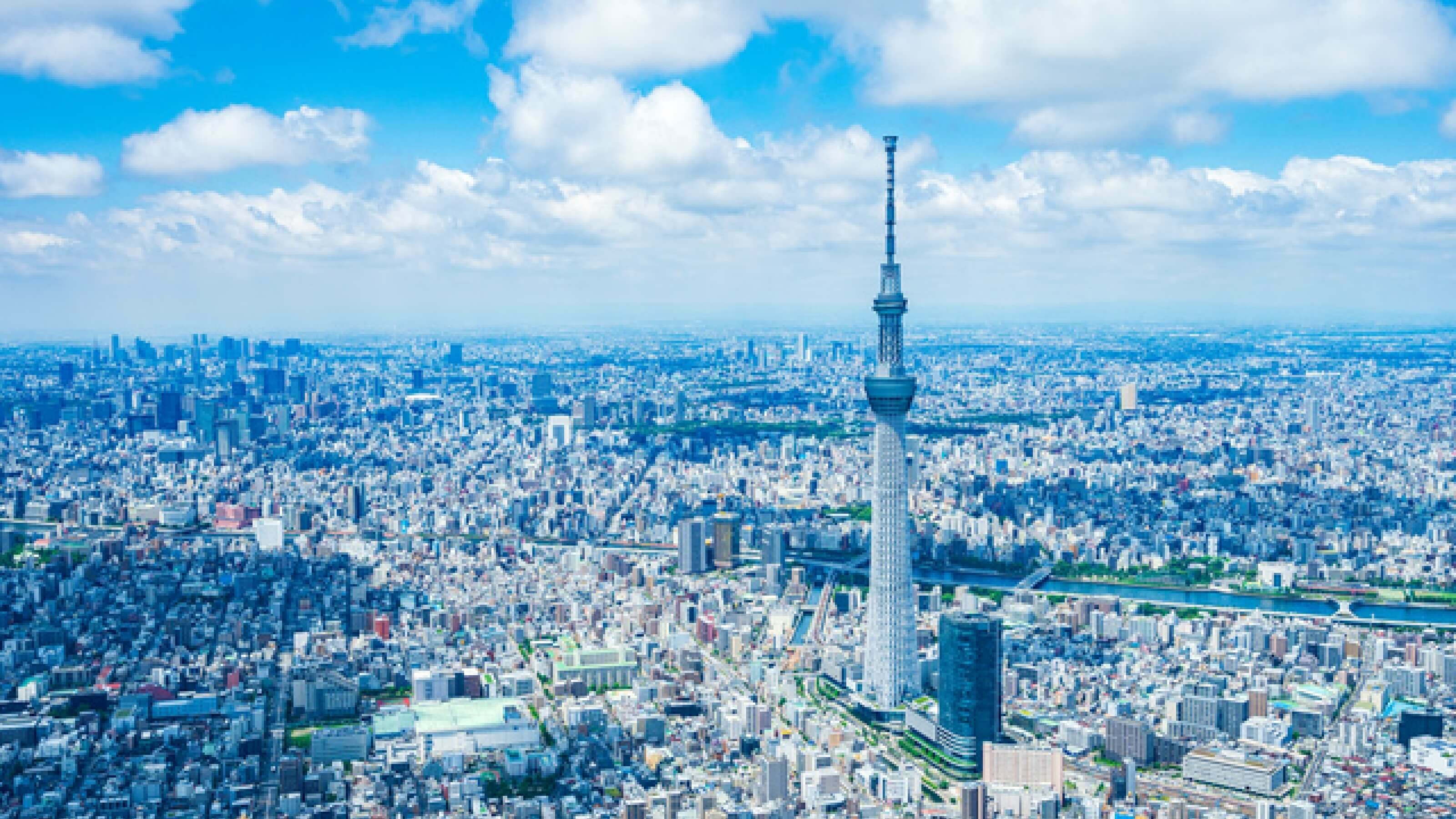 専門家コラムVol.48｜イメージ