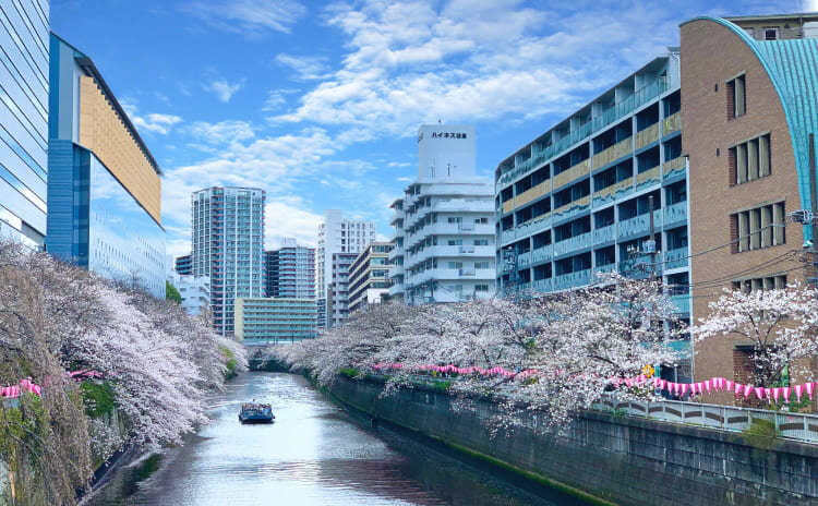 目黒川