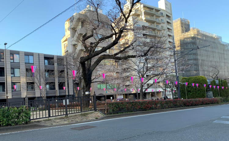 播磨坂