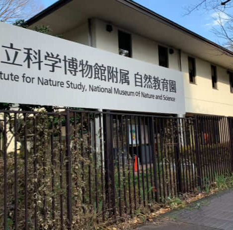 白金台どんぐり児童遊園