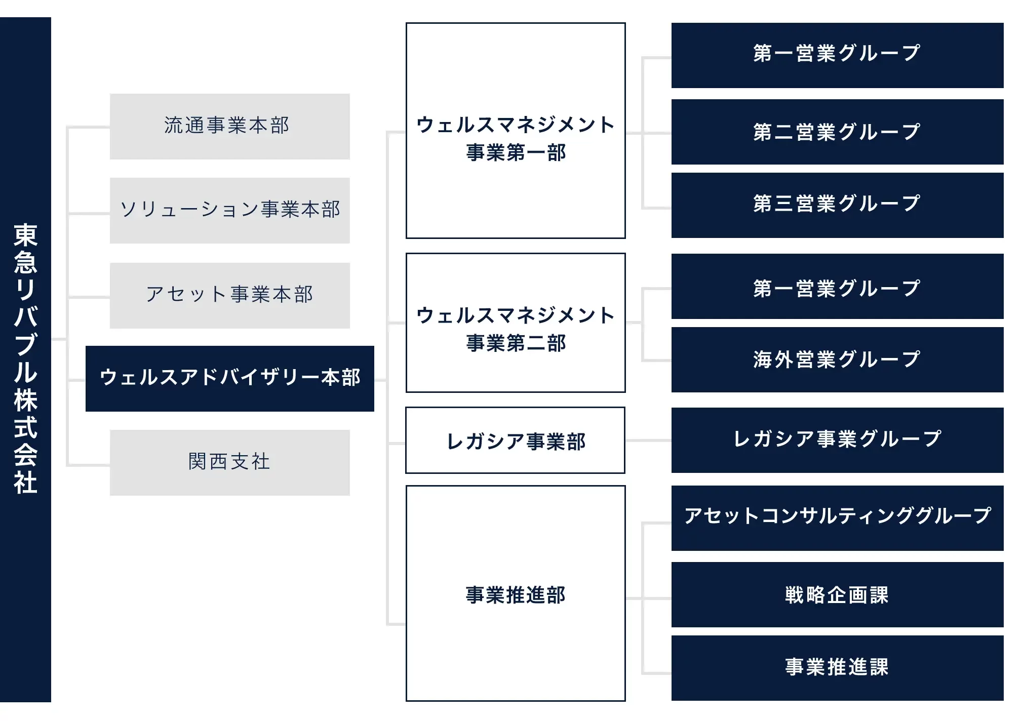 組織概要
