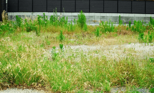 「所有者不明土地問題」何が問題？