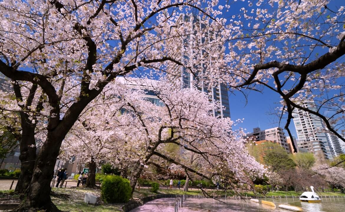 不忍池（上野恩賜公園）